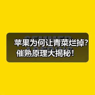 苹果为何让青菜烂掉?催熟原理大揭秘!(图3) 苹果为何让青菜烂掉?催熟原理大揭秘!(图3)