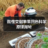 酸橙变甜苹果回色科学原理揭秘