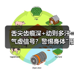 舌尖齿痕深+动则多汗=气虚信号?警惕身体 舌尖齿痕深+动则多汗=气虚信号?警惕身体
