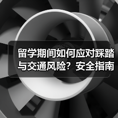 留学期间如何应对踩踏与交通风险?安全指南必看(图4) 留学期间如何应对踩踏与交通风险?安全指南必看(图4)