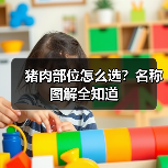 猪肉部位怎么选?名称图解全知道(图4) 猪肉部位怎么选?名称图解全知道(图4)