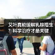 艾叶真能缓解乳腺增生?科学治疗才是关键(图2) 艾叶真能缓解乳腺增生?科学治疗才是关键(图2)