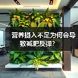 营养摄入不足为何会导致减肥反弹?(图3) 营养摄入不足为何会导致减肥反弹?(图3)