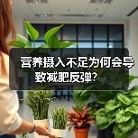 营养摄入不足为何会导致减肥反弹?(图4) 营养摄入不足为何会导致减肥反弹?(图4)