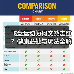 飞盘运动为何突然走红?健康益处与玩法全解析(图2) 飞盘运动为何突然走红?健康益处与玩法全解析(图2)