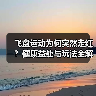飞盘运动为何突然走红?健康益处与玩法全解析(图3) 飞盘运动为何突然走红?健康益处与玩法全解析(图3)