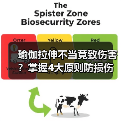 瑜伽拉伸不当竟致伤害?掌握4大原则防损伤(图2) 瑜伽拉伸不当竟致伤害?掌握4大原则防损伤(图2)