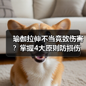 瑜伽拉伸不当竟致伤害?掌握4大原则防损伤(图1) 瑜伽拉伸不当竟致伤害?掌握4大原则防损伤(图1)