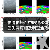 怕冷怕热?中医揭秘体质失调真相及调理全攻略(图4) 怕冷怕热?中医揭秘体质失调真相及调理全攻略(图4)