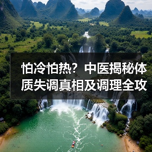 怕冷怕热?中医揭秘体质失调真相及调理全攻略(图3) 怕冷怕热?中医揭秘体质失调真相及调理全攻略(图3)