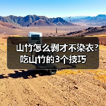 山竹怎么剥才不染衣？吃山竹的3个技巧（图2）