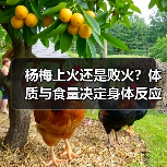 杨梅上火还是败火?体质与食量决定身体反应(图4) 杨梅上火还是败火?体质与食量决定身体反应(图4)
