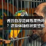 舌苔白厚是脾胃湿热吗?这些伴随症状要警惕!(图2) 舌苔白厚是脾胃湿热吗?这些伴随症状要警惕!(图2)