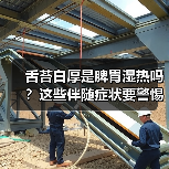 舌苔白厚是脾胃湿热吗?这些伴随症状要警惕!(图4) 舌苔白厚是脾胃湿热吗?这些伴随症状要警惕!(图4)