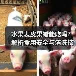 水果表皮果蜡能吃吗?解析食用安全与清洗技巧(图2) 水果表皮果蜡能吃吗?解析食用安全与清洗技巧(图2)