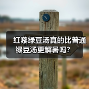 红藜绿豆汤真的比普通绿豆汤更解暑吗?(图4) 红藜绿豆汤真的比普通绿豆汤更解暑吗?(图4)