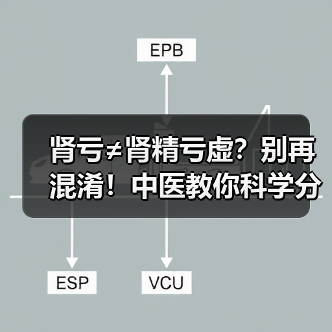 肾亏≠肾精亏虚?别再混淆!中医教你科学分辨与调理(图3) 肾亏≠肾精亏虚?别再混淆!中医教你科学分辨与调理(图3)