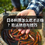日本料理怎么吃才正确?吃法禁忌与技巧(图4) 日本料理怎么吃才正确?吃法禁忌与技巧(图4)