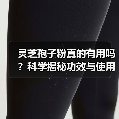 灵芝孢子粉真的有用吗?科学揭秘功效与使用真相(图1) 灵芝孢子粉真的有用吗?科学揭秘功效与使用真相(图1)