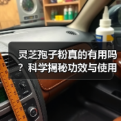 灵芝孢子粉真的有用吗?科学揭秘功效与使用真相(图4) 灵芝孢子粉真的有用吗?科学揭秘功效与使用真相(图4)