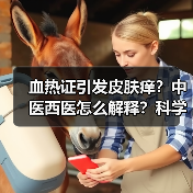 血热证引发皮肤痒?中医西医怎么解释?科学应对方法全解析(图4) 血热证引发皮肤痒?中医西医怎么解释?科学应对方法全解析(图4)