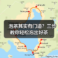 泡茶其实有门道？三步教你轻松泡出好茶