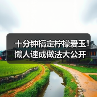 十分钟搞定柠檬爱玉!懒人速成做法大公开(图3) 十分钟搞定柠檬爱玉!懒人速成做法大公开(图3)