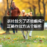 茶叶放久了还能喝吗?正确存放方法全解析(图3) 茶叶放久了还能喝吗?正确存放方法全解析(图3)