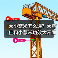 大小薏米怎么选?大薏仁和小薏米功效大不同!(图2) 大小薏米怎么选?大薏仁和小薏米功效大不同!(图2)