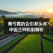 肾亏真的会引发头疼?中医三种机制解析(图1) 肾亏真的会引发头疼?中医三种机制解析(图1)