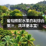 葡萄搭配水果自制综合果汁,风味更丰富!(图4) 葡萄搭配水果自制综合果汁,风味更丰富!(图4)