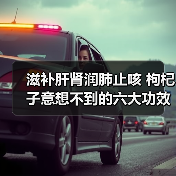 滋补肝肾润肺止咳 枸杞子意想不到的六大功效