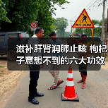滋补肝肾润肺止咳 枸杞子意想不到的六大功效(图2) 滋补肝肾润肺止咳 枸杞子意想不到的六大功效(图2)
