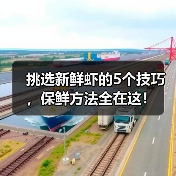 挑选新鲜虾的5个技巧,保鲜方法全在这!(图3) 挑选新鲜虾的5个技巧,保鲜方法全在这!(图3)