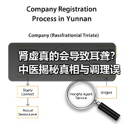 肾虚真的会导致耳聋？中医揭秘真相与调理误区（图1）