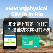 冬季萝卜有多‘能打’?这些功效你可能不知道!(图2) 冬季萝卜有多‘能打’?这些功效你可能不知道!(图2)