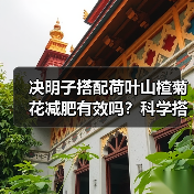 决明子搭配荷叶山楂菊花减肥有效吗?科学搭配方法解析(图1) 决明子搭配荷叶山楂菊花减肥有效吗?科学搭配方法解析(图1)