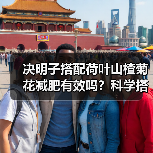 决明子搭配荷叶山楂菊花减肥有效吗?科学搭配方法解析(图2) 决明子搭配荷叶山楂菊花减肥有效吗?科学搭配方法解析(图2)