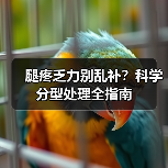 腿疼乏力别乱补?科学分型处理全指南(图4) 腿疼乏力别乱补?科学分型处理全指南(图4)