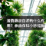 灌香肠放白酒有什么作用?杀菌保鲜小妙招揭秘(图3) 灌香肠放白酒有什么作用?杀菌保鲜小妙招揭秘(图3)