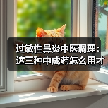 过敏性鼻炎中医调理:这三种中成药怎么用才不踩坑?(图2) 过敏性鼻炎中医调理:这三种中成药怎么用才不踩坑?(图2)