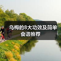 乌梅的8大功效及简单食谱推荐(图3) 乌梅的8大功效及简单食谱推荐(图3)