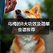 乌梅的8大功效及简单食谱推荐(图4) 乌梅的8大功效及简单食谱推荐(图4)
