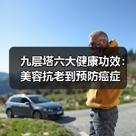 九层塔六大健康功效:美容抗老到预防癌症(图3) 九层塔六大健康功效:美容抗老到预防癌症(图3)