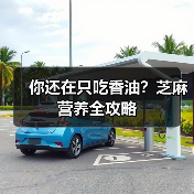 你还在只吃香油?芝麻营养全攻略(图3) 你还在只吃香油?芝麻营养全攻略(图3)