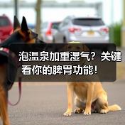 泡温泉加重湿气?关键看你的脾胃功能!(图4) 泡温泉加重湿气?关键看你的脾胃功能!(图4)