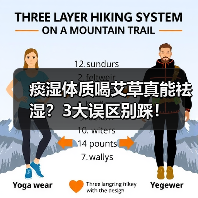 痰湿体质喝艾草真能祛湿?3大误区别踩!(图2) 痰湿体质喝艾草真能祛湿?3大误区别踩!(图2)
