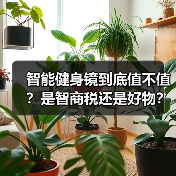 智能健身镜到底值不值?是智商税还是好物?(图1) 智能健身镜到底值不值?是智商税还是好物?(图1)