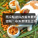 耳朵贴磁珠改善失眠有效吗?中医原理及正确用法详解(图1) 耳朵贴磁珠改善失眠有效吗?中医原理及正确用法详解(图1)
