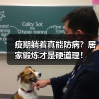 疫期躺着真能防病?居家锻炼才是硬道理!(图3) 疫期躺着真能防病?居家锻炼才是硬道理!(图3)